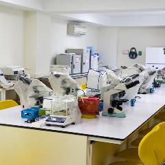 111 Tıbbi Laboratuvar Teknikleri  Programı