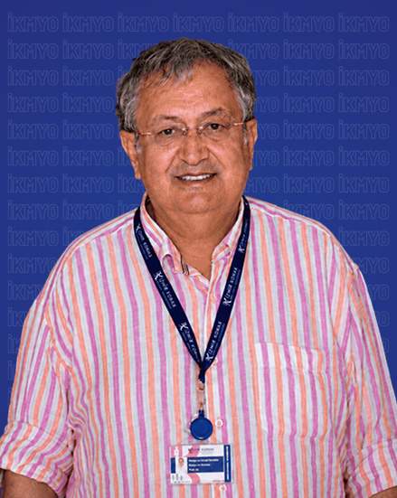 Mehmet Sonugelen